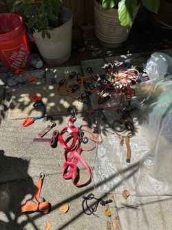 Miscellaneous tie downs , straps and bungee cords