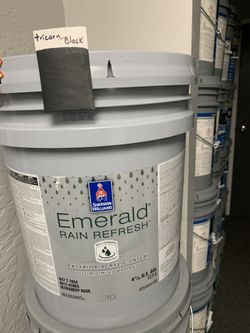 Pintura Blanco Y Negro 