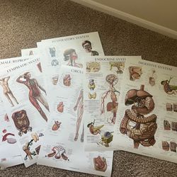 Medical Poster Boards