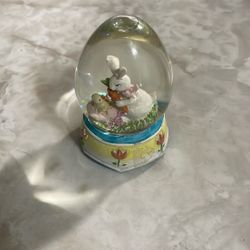 Bunny Global 