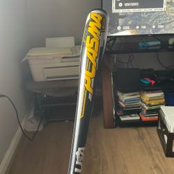 Baseball Bat