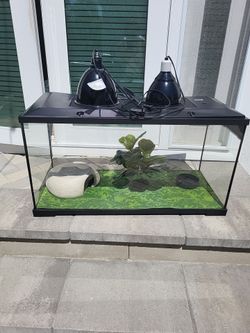 Aquarium with lights