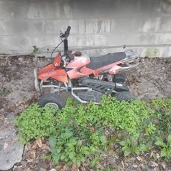 Mini Quad