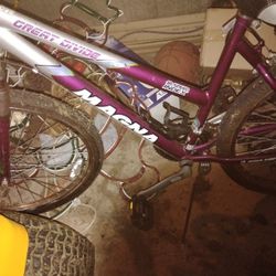 Magna 18 Speed Bike