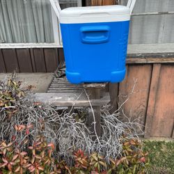 Igloo Ice Cube Cooler