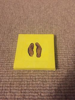 San Diego zoo global artwork