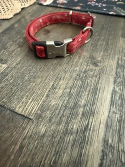 Small / Medium Dog Collar And Harness