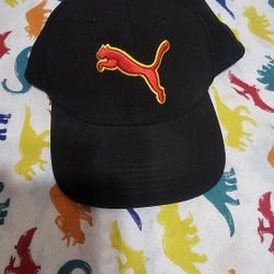 Puma Hat