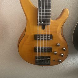 Yamaha Five String Bass TRBX605