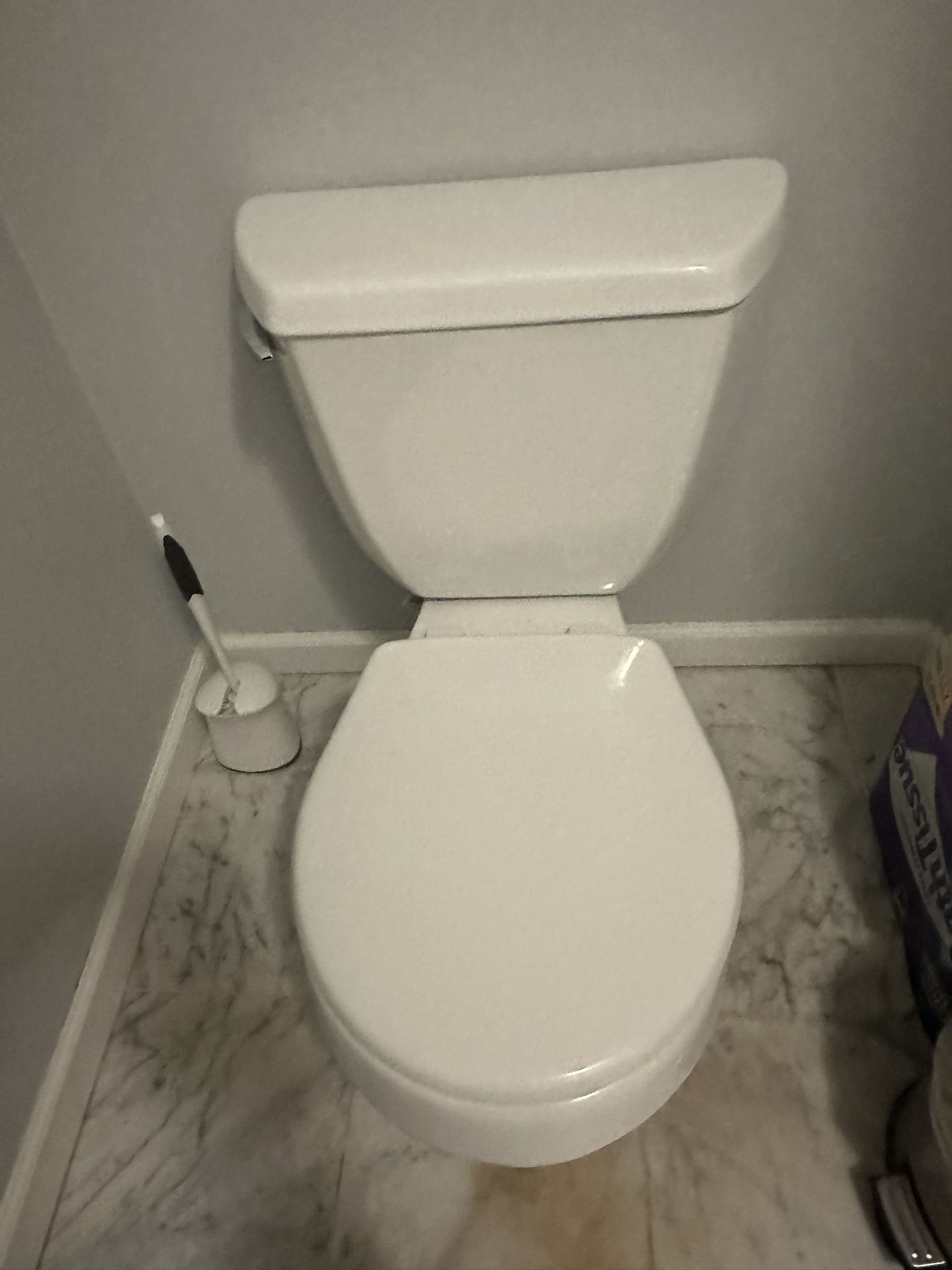 Kohler Toilet