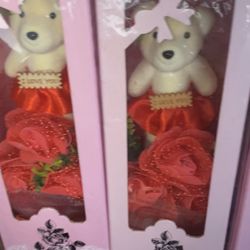 Oso de Peluches - Teady Bear