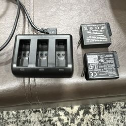 GOPRO CHARGER AND 2 BATTERIES 