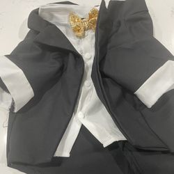 Dog Tuxedo 