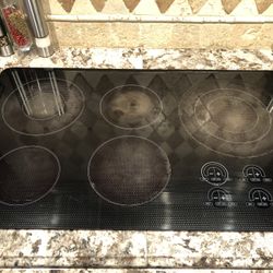 Wolf Electric Cooktop 36 Inch