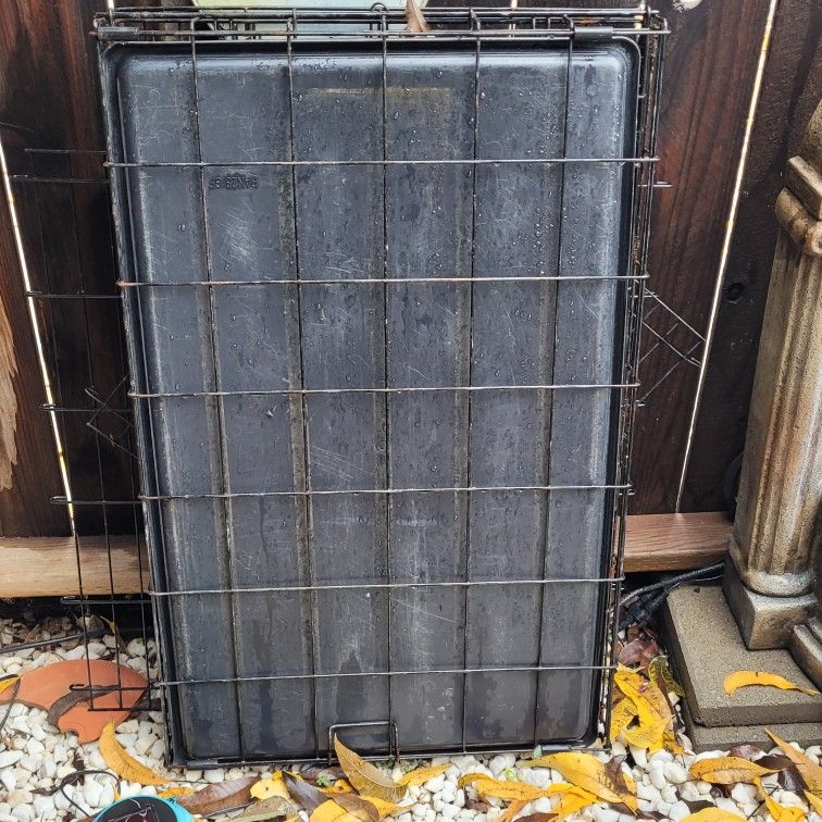 Dog Crate- Medium