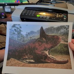 Printer Scanner Copier with Extra Ink