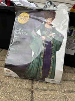 Hocus Pocus Winnie & Sarah Sanderson Sisters Halloween Costume