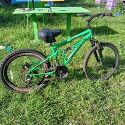 Green Bike