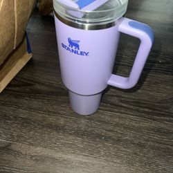 Stanley Purple Cup