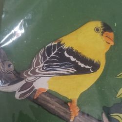 Mr. Ellie Pooh Handmade Fair Trade Paper Mache Goldfinch Embossed Elephant Dung Paper Designer Greeting Card

