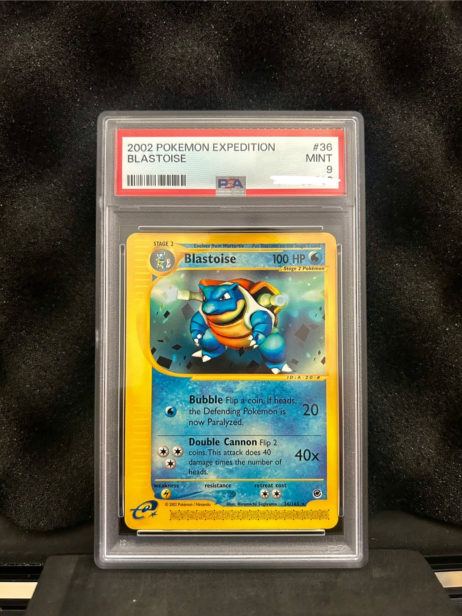 Blastoise Expedition