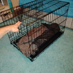 Dog Crate 