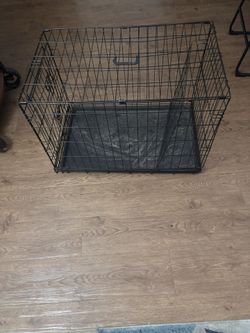 Pet Kennel