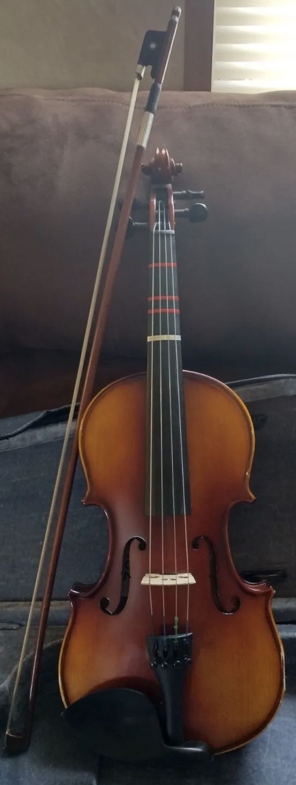 Probus Violins