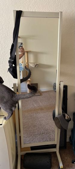 Full Body Mirror