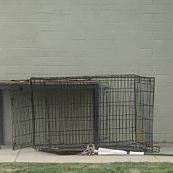 Dog Crate 