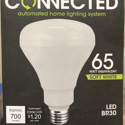 LEDs BR30 65W Soft White