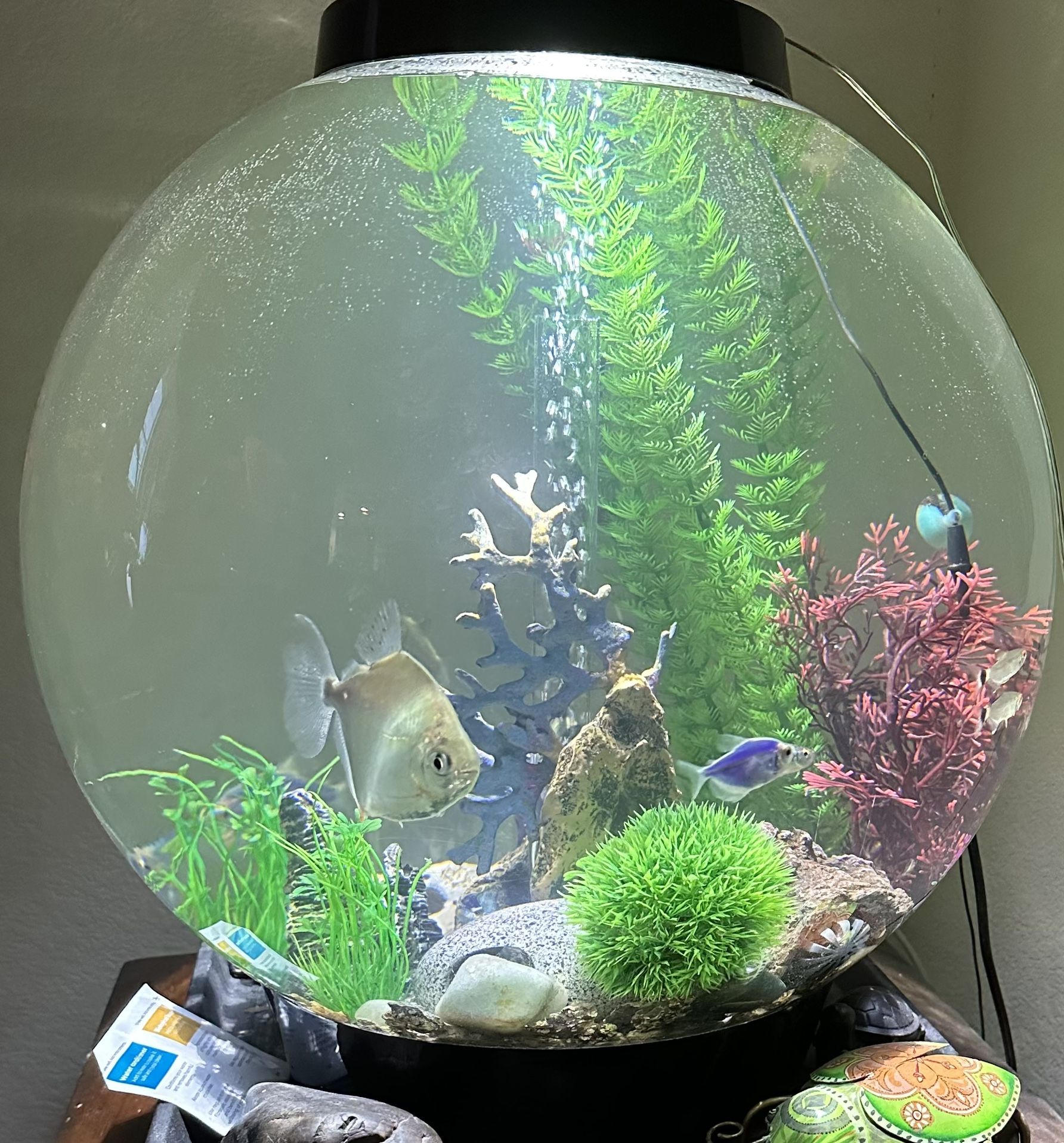 Bio Orb 60 Liter Fish Tank w/ Pump 16 Gallons