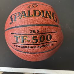 Spalding TF-500 Basketball