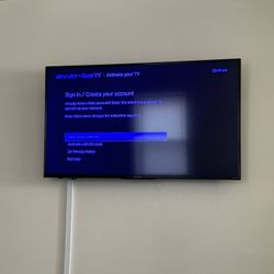 Discolored TV Purple Tint In It 