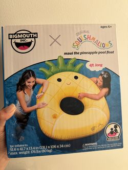 Squishmallows Pineapple Pool Float