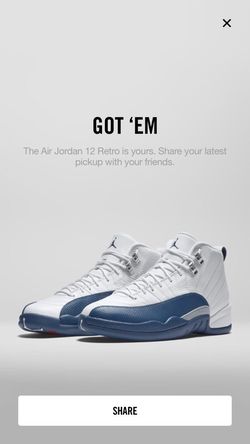 Jordan 12