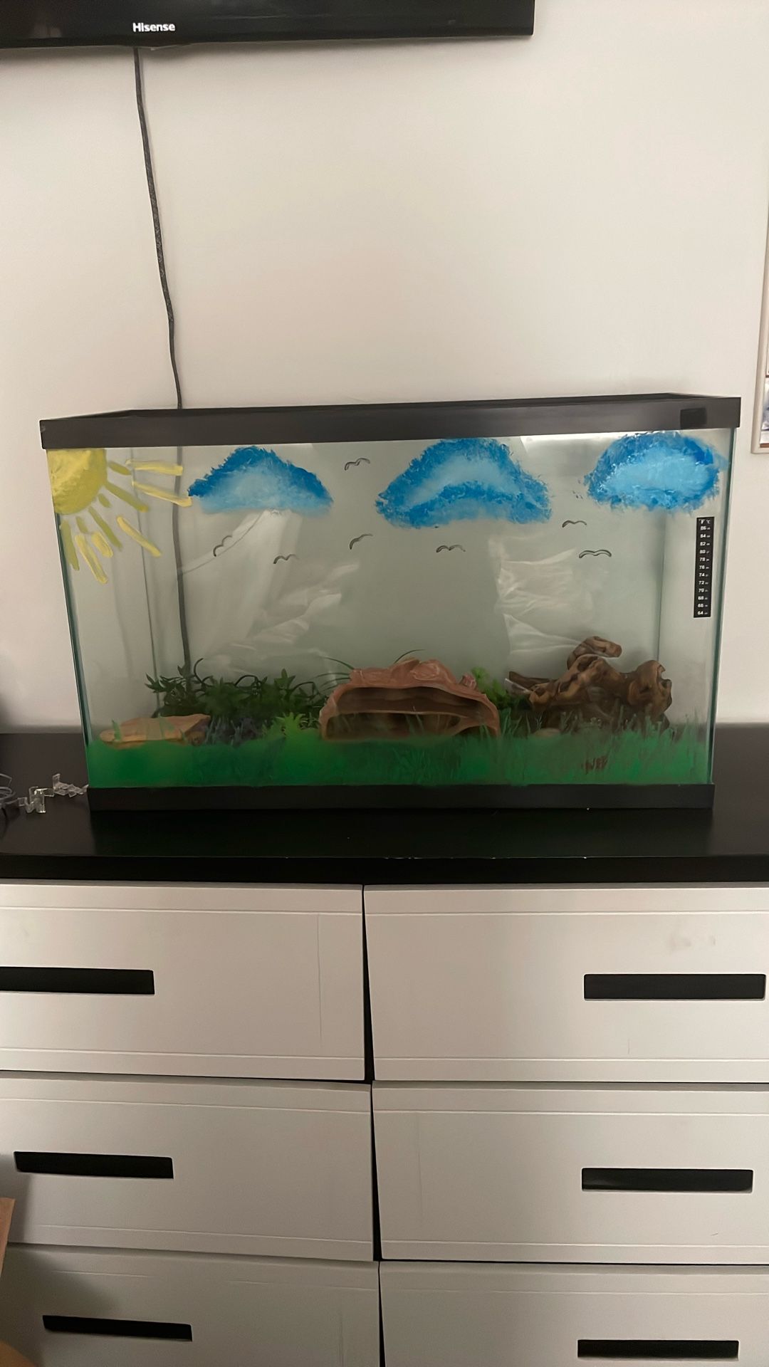 Tank