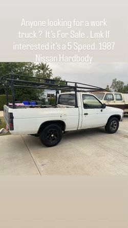 1987 Nissan hardbody