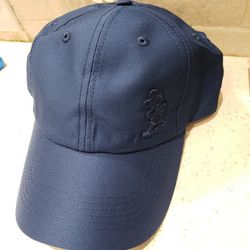 Disney Parks Mickey Blue Hat