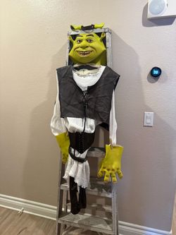 Complete Shrek Halloween costume