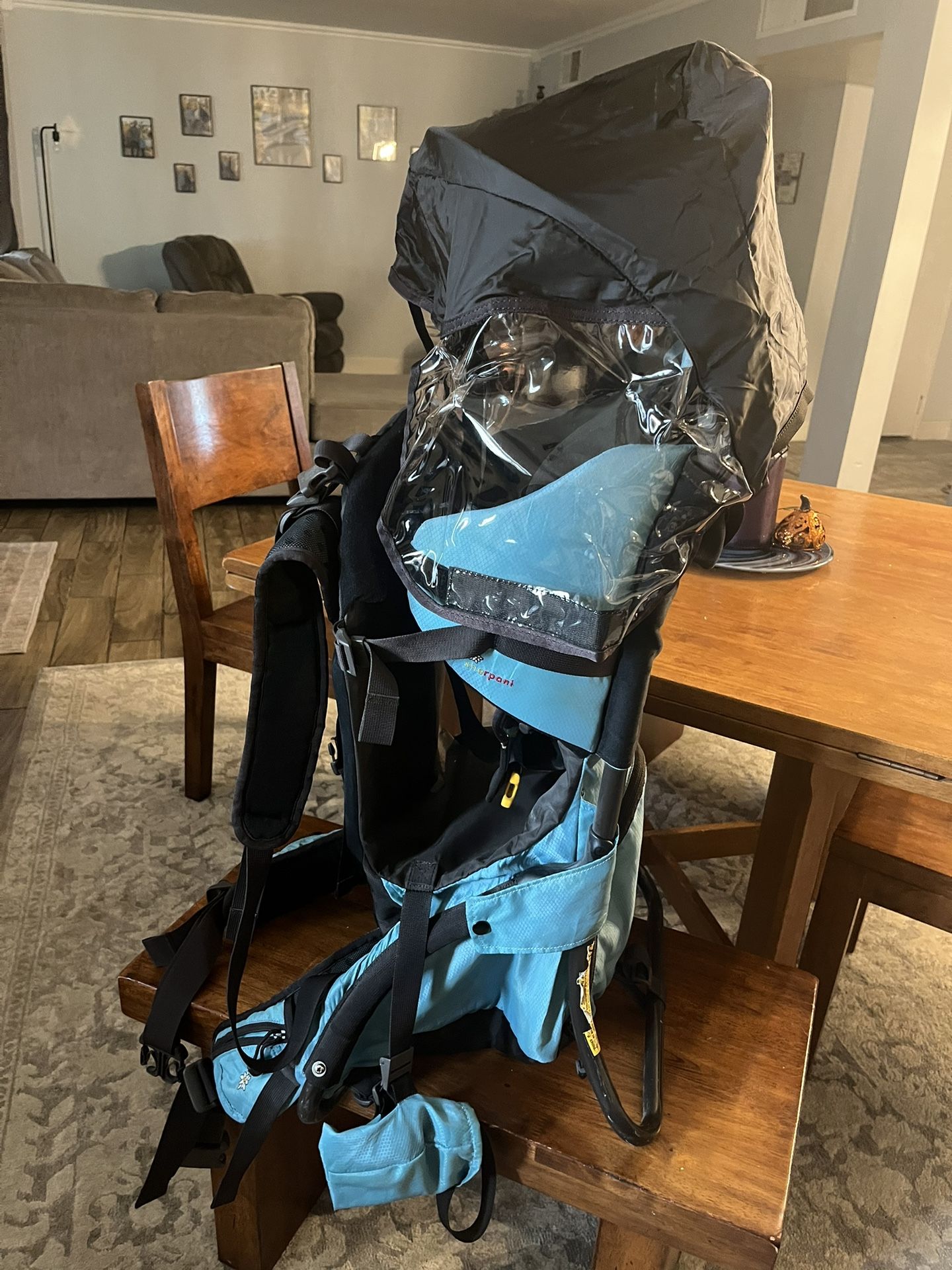 Sherpani Hiking Child Carrier Backpack 