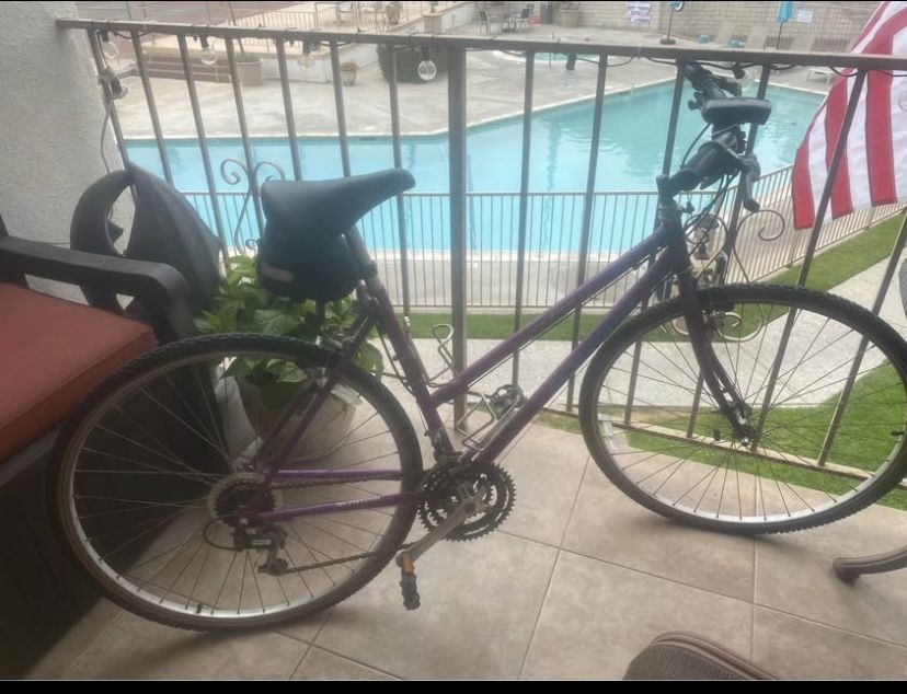 1992 Vintage Schwinn Criss Cross Ladies Hybrid Bike 21 spd.