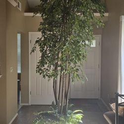 9' Tall Artificial Ficus 