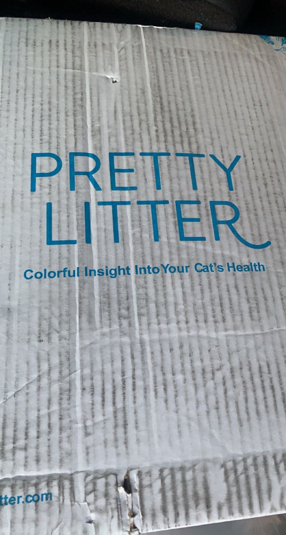 Pretty litter cat litter