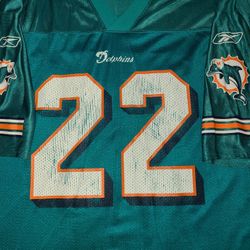 Reggie Bush Miami Dolphins Jersey