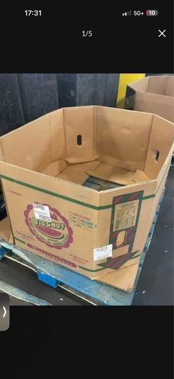 Gaylord Bin Carton Box Watermelon Bin Only