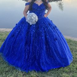 Quinceañera Dress 