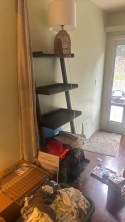 Bookcase ladder shelf