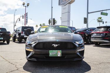 2023 Ford Mustang EcoBoost