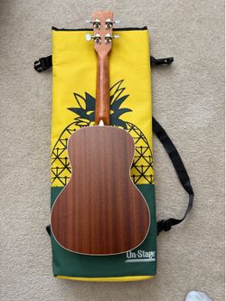 Cordoba 15CM Concert Ukulele w/ Case